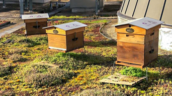 La Biodiversité dans votre centre